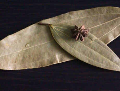 Dr Ceylon Cinnamon Leaf - Bay Leaf - Biryani Leaf
